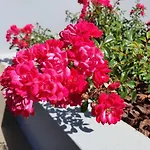 Casa Atlantico Tropischer Seitenfluegel アパート リベイラ・ブラーヴァ