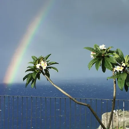Lägenhet Casa Atlantico Tropischer Seitenfluegel Ribeira Brava