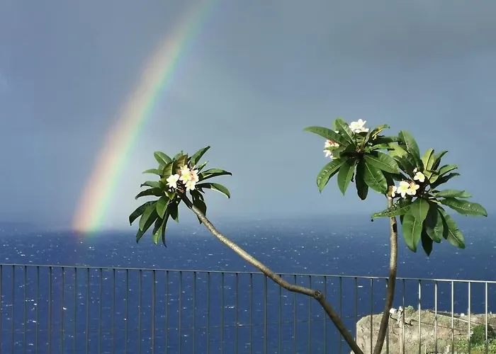 Appartement Casa Atlantico Tropischer Seitenfluegel Ribeira Brava